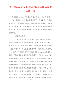 某市国动办2025年党建工作总结及2025年工作计划