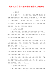 某村党员存在问题和整改举措的工作报告
