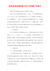 某某县某某镇党委2025年党建工作要点