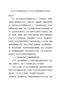 在2025年全镇城市社区党建上半年工作成效推进会上的讲话
