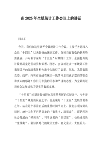 在2025年全镇统计工作会议上的讲话