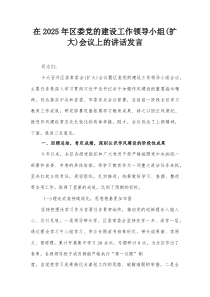 在2025年区委党的建设工作领导小组（扩大）会议上的讲话发言
