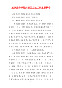 某镇党委书记抓基层党建工作述职报告
