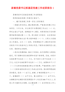 某镇党委书记抓基层党建工作述职报告1
