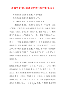 某镇党委书记抓基层党建工作述职报告2