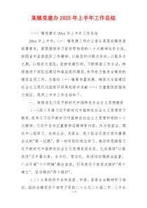 某镇党建办2025年上半年工作总结