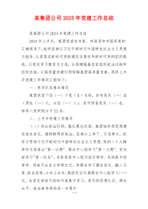 某集团公司2025年党建工作总结