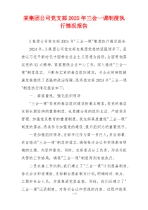 某集团公司党支部2025年三会一课制度执行情况报告