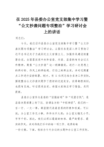 在2025年县委办公室党支部集中学习暨“公文抄袭问题专项整治”学习研讨会上的讲话