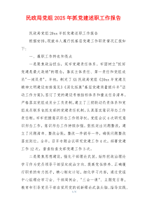 民政局党组2025年抓党建述职工作报告
