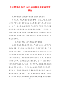 民政局党组书记2025年度抓基层党建述职报告
