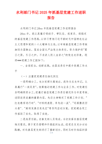 水利部门书记2025年抓基层党建工作述职报告