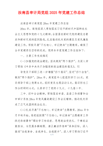 汝南县审计局党组2025年党建工作总结
