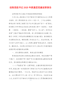 法院党组书记2025年抓基层党建述职报告