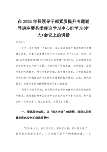 在2025年县领导干部素质提升专题辅导讲座暨县委理论学习中心组学习（扩大）会议上的讲话