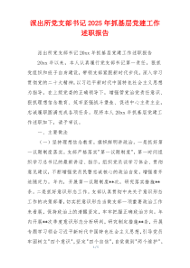 派出所党支部书记2025年抓基层党建工作述职报告
