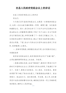 在县人民政府党组会议上的讲话