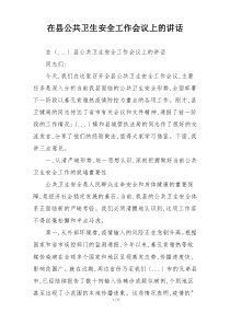 在县公共卫生安全工作会议上的讲话