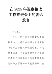 在2025年巡察整改工作推进会上的讲话发言