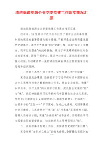 清洁低碳能源企业党委党建工作落实情况汇报