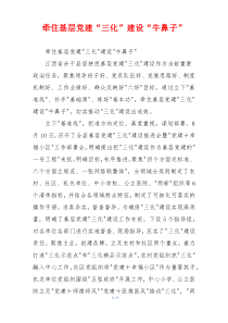 牵住基层党建“三化”建设“牛鼻子”