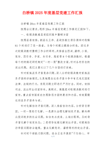 白桥镇2025年度基层党建工作汇报