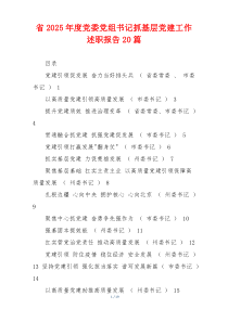 省2025年度党委党组书记抓基层党建工作述职报告20篇