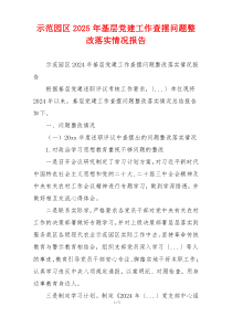 示范园区2025年基层党建工作查摆问题整改落实情况报告