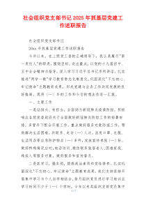 社会组织党支部书记2025年抓基层党建工作述职报告
