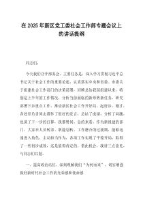 在2025年新区党工委社会工作部专题会议上的讲话提纲