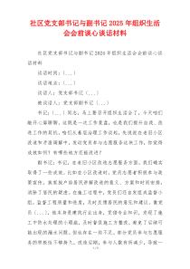 社区党支部书记与副书记2025年组织生活会会前谈心谈话材料