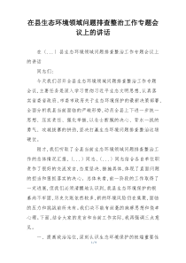 在县生态环境领域问题排查整治工作专题会议上的讲话