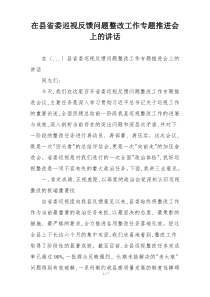 在县省委巡视反馈问题整改工作专题推进会上的讲话