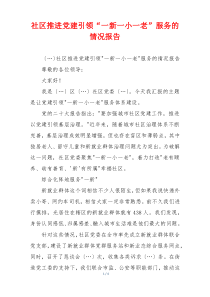 社区推进党建引领“一新一小一老”服务的情况报告
