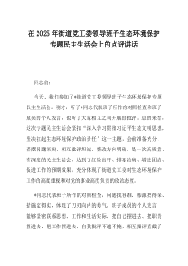 在2025年街道党工委领导班子生态环境保护专题民主生活会上的点评讲话