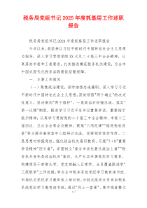 税务局党组书记2025年度抓基层工作述职报告