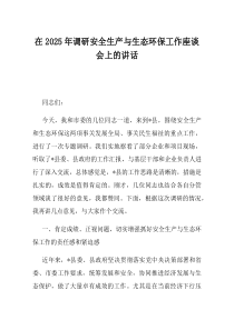在2025年调研安全生产与生态环保工作座谈会上的讲话
