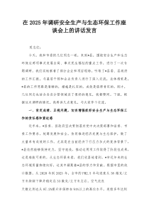 在2025年调研安全生产与生态环保工作座谈会上的讲话发言