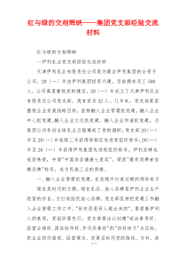 红与绿的交相辉映——集团党支部经验交流材料