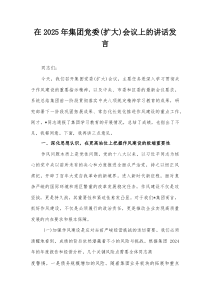 在2025年集团党委(扩大)会议上的讲话发言