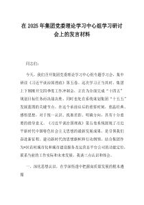 在2025年集团党委理论学习中心组学习研讨会上的发言材料