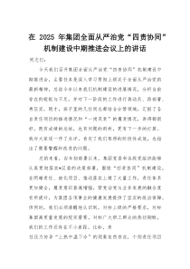 在2025年集团全面从严治党“四责协同”机制建设中期推进会议上的讲话