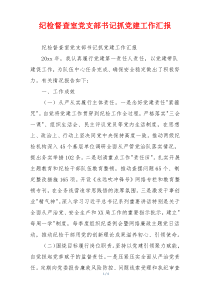 纪检督查室党支部书记抓党建工作汇报