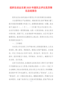 组织生活会支部2025年度民主评议党员情况总结报告