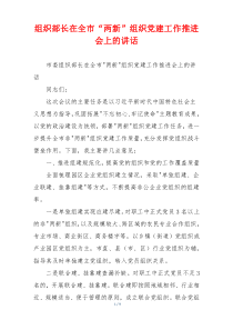 组织部长在全市“两新”组织党建工作推进会上的讲话