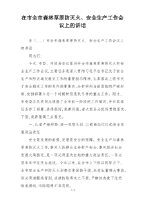 在市全市森林草原防灭火、安全生产工作会议上的讲话