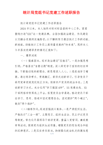 统计局党组书记党建工作述职报告