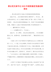 联合党支部书记2025年度抓基层党建述职报告