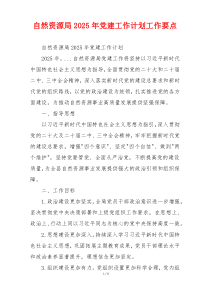 自然资源局2025年党建工作计划工作要点