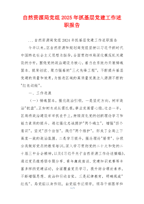自然资源局党组2025年抓基层党建工作述职报告